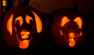 halloween , pumpkin, carving, dog, faces