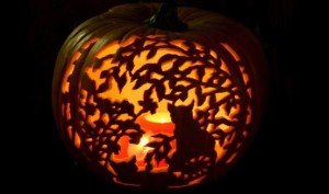 Halloween, pumpkin, carving, cat, tree